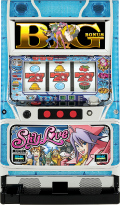 スカイラブ 中古実機