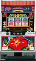 ビッグハイビ30 中古実機