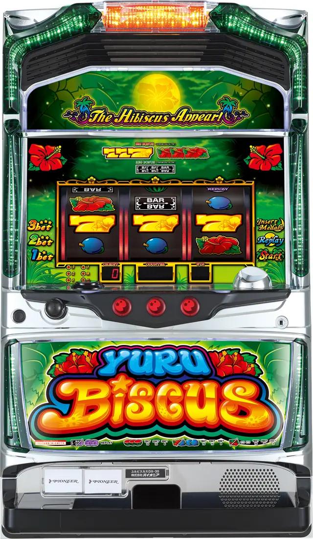 ユルビスカス-30 中古実機